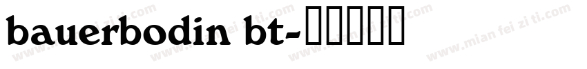 bauerbodin bt字体转换